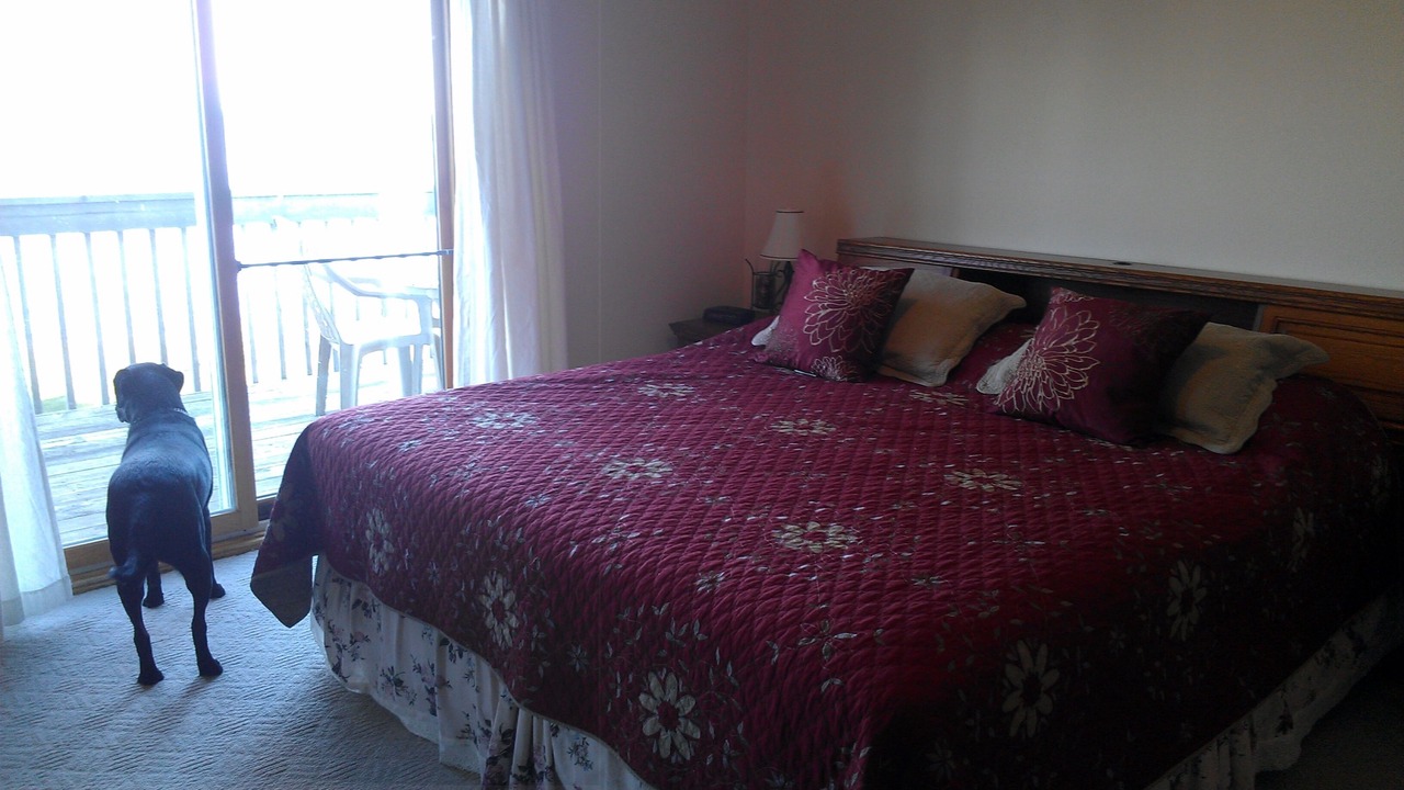 Photo of Bedroom in Onamia