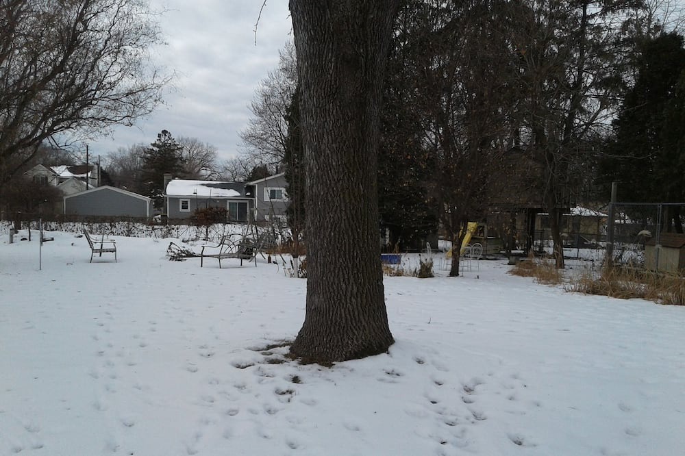 Photo of Others in East Bloomington
