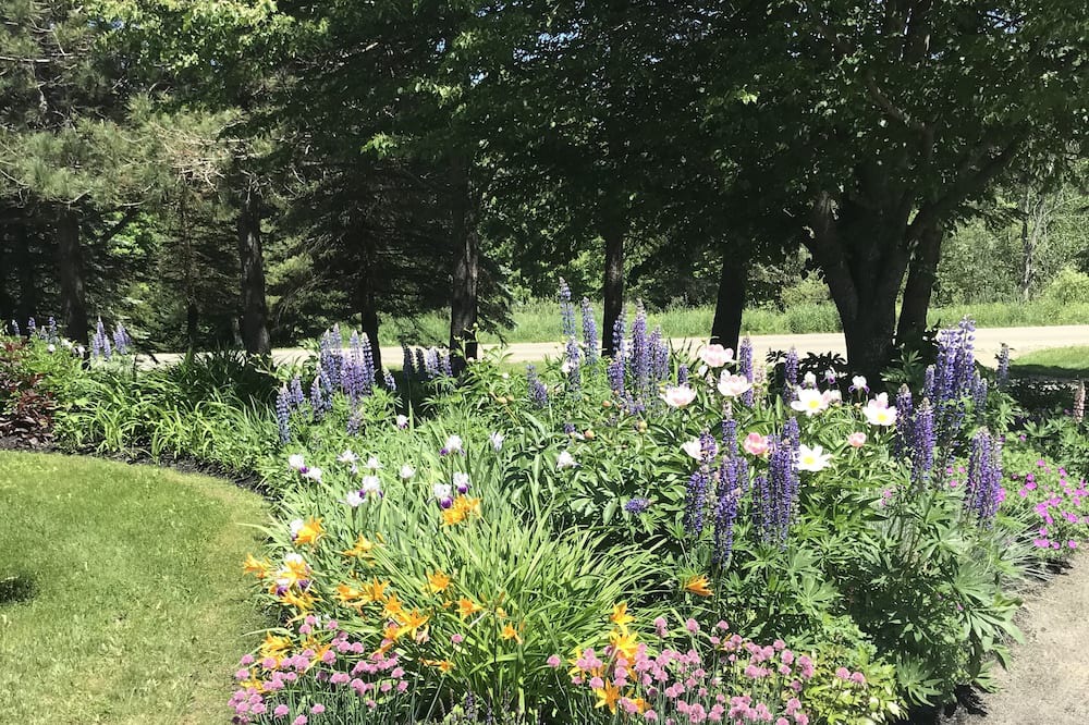 Photo of Outdoor in Morrisville