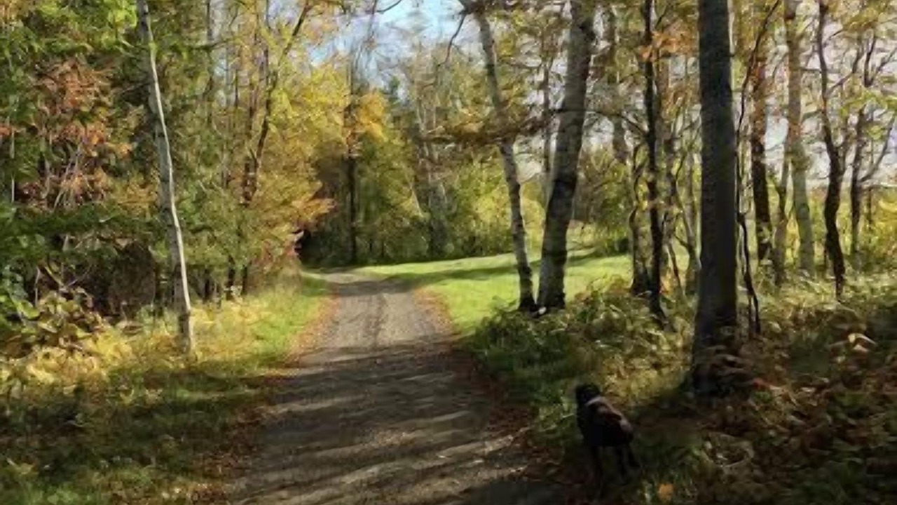 Photo of Outdoor in Grand Isle County