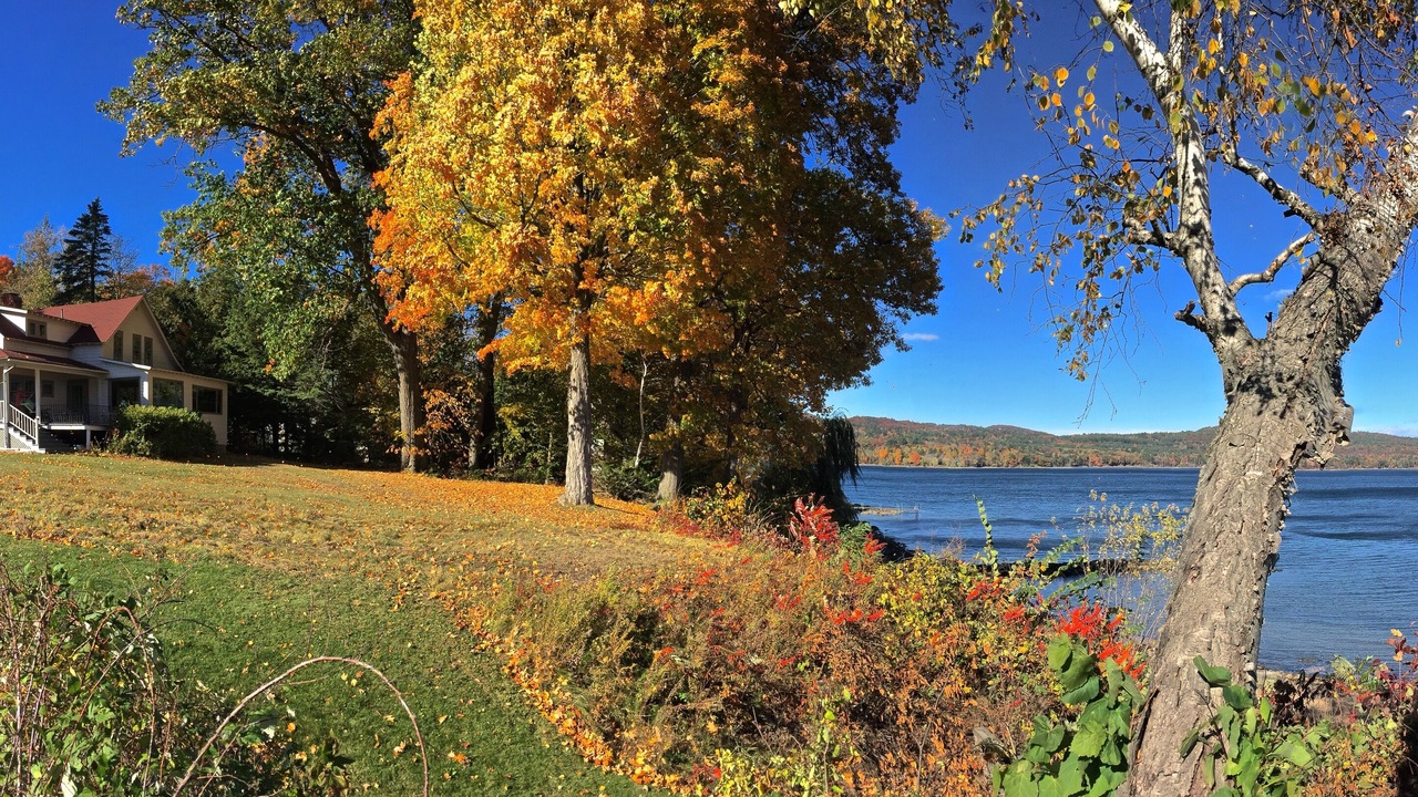 Photo of Outdoor in Westport
