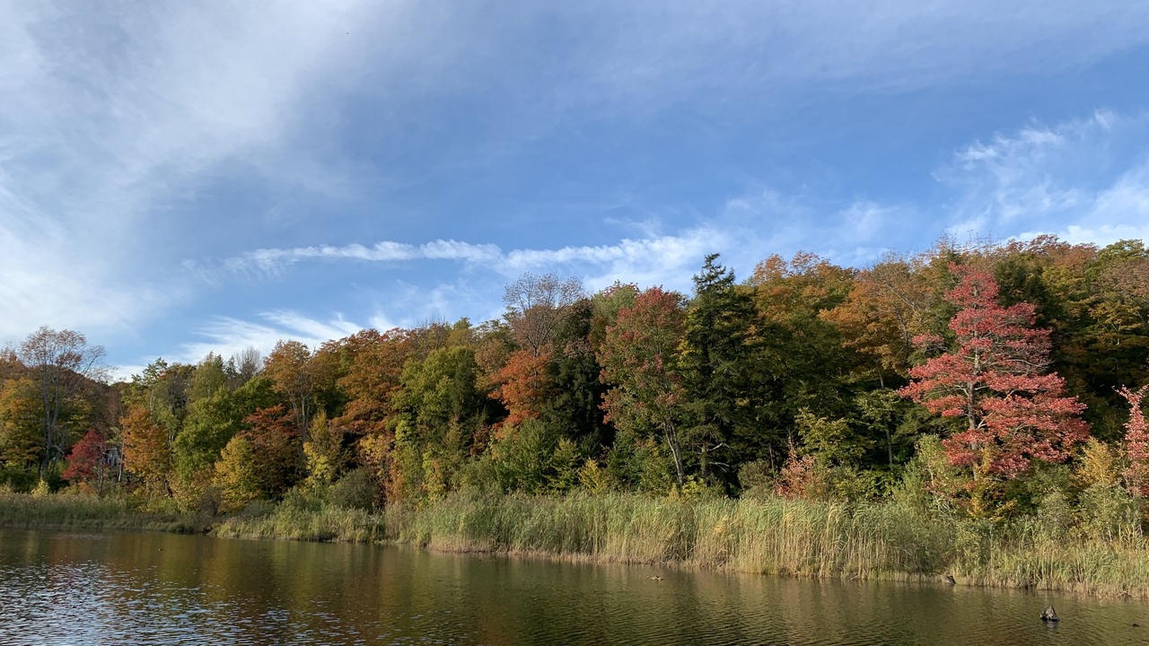 Photo of Outdoor in Woodstock