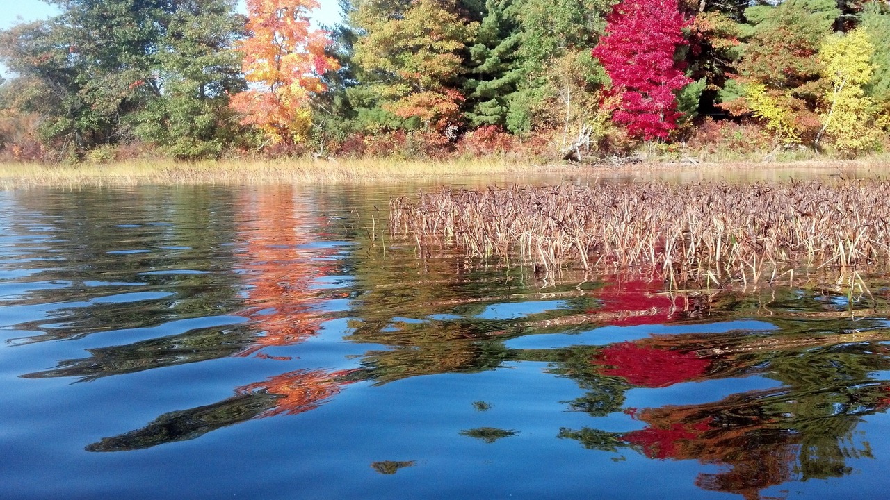 Photo of Outdoor in New Auburn