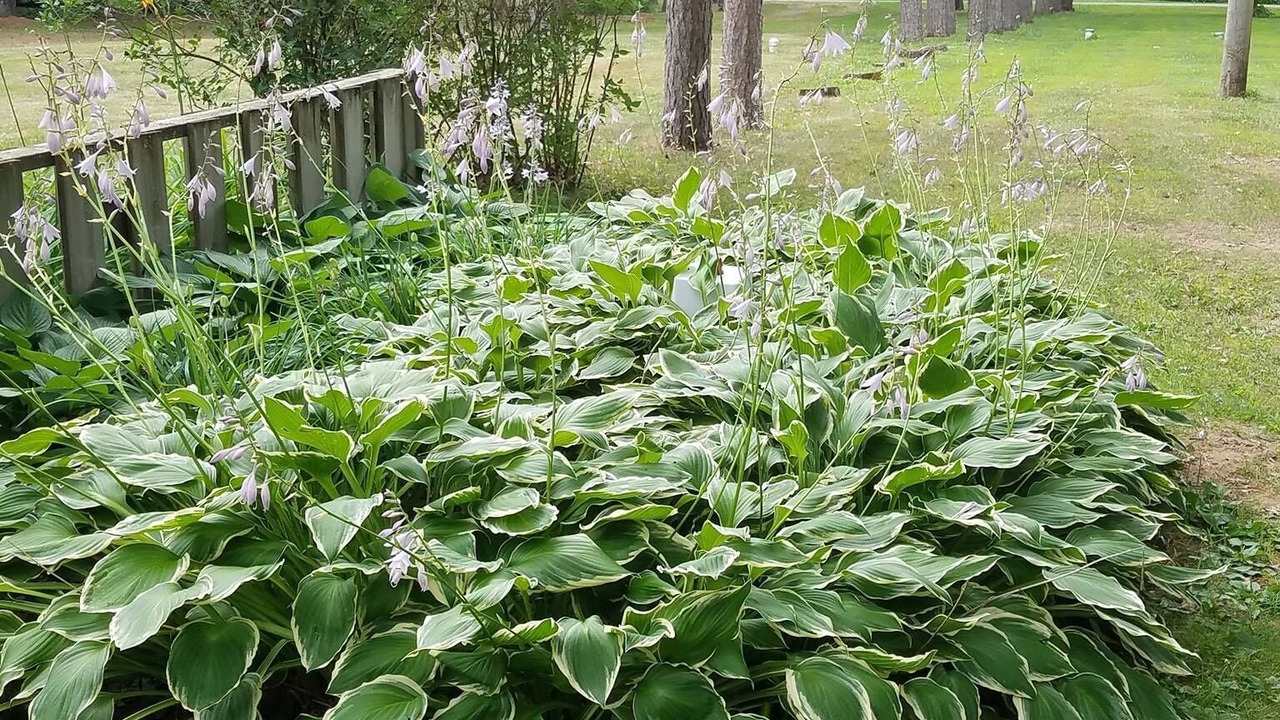 Photo of Outdoor in New Auburn