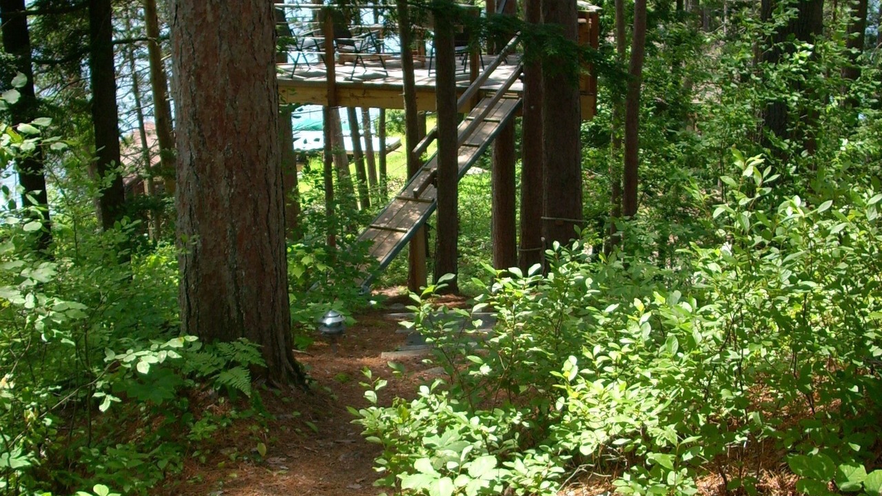 Photo of Outdoor in Littleton