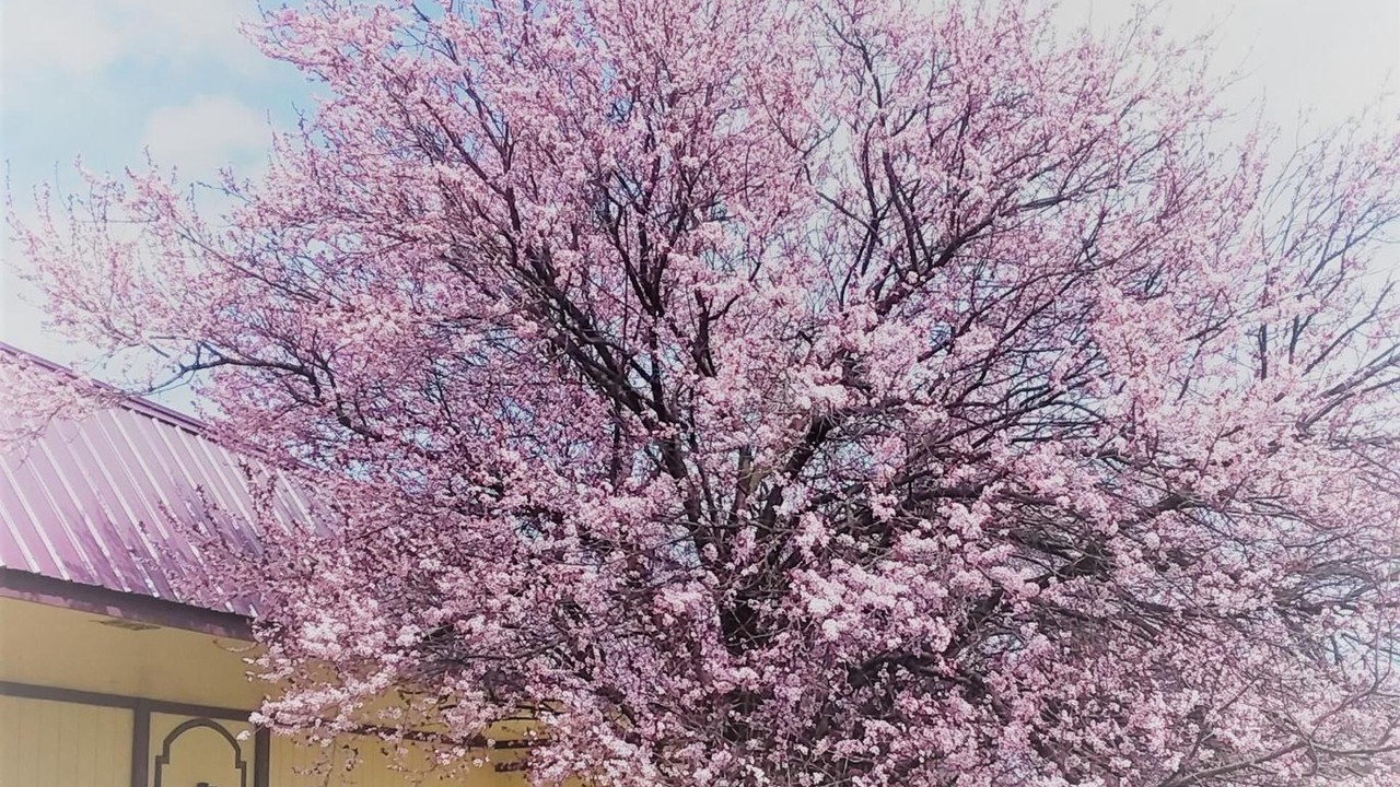 Photo of Outdoor in Martinsburg