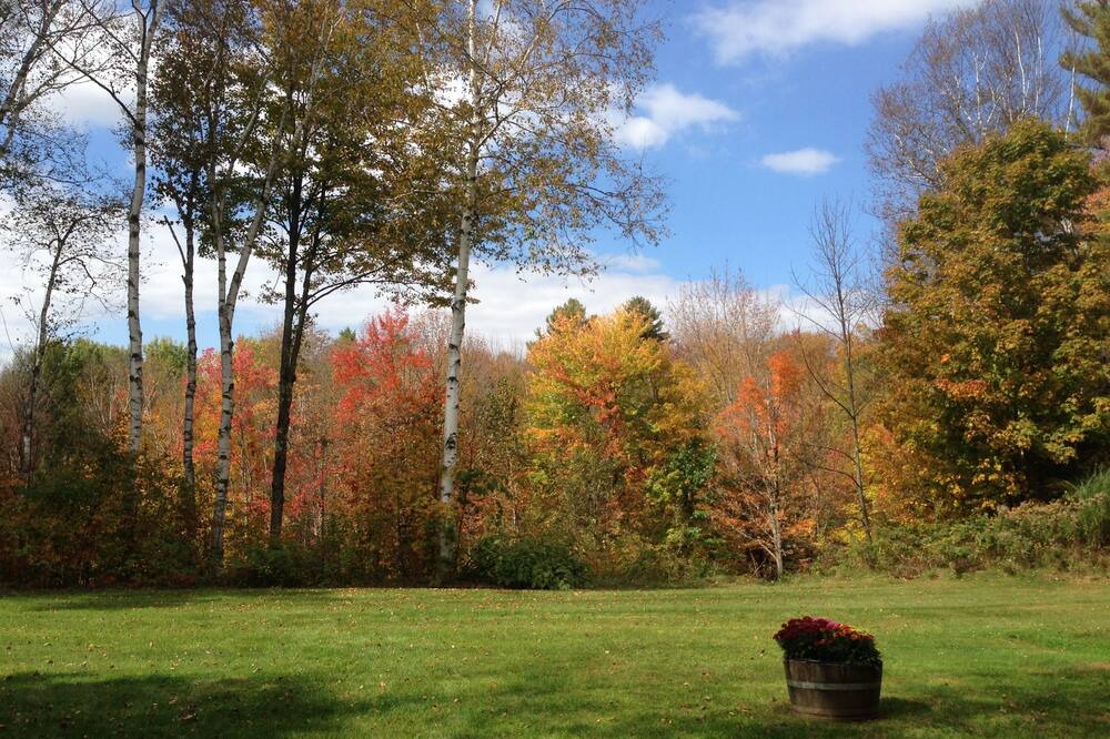 Photo of Others in Stowe Area