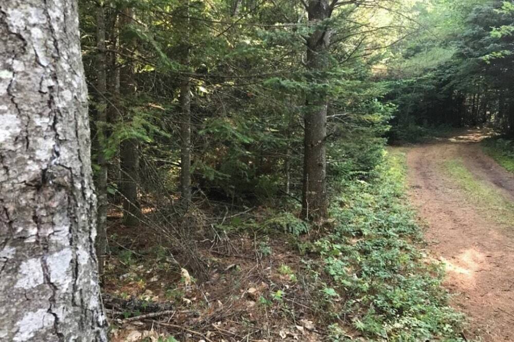 Photo of Others in Witherbee