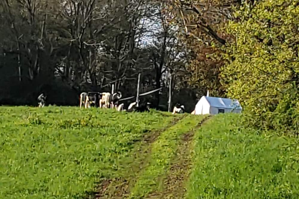 Photo of Others in Litchfield