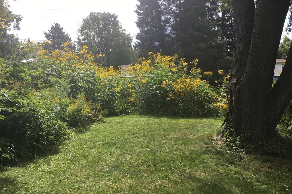 Photo of Outdoor in Wausau