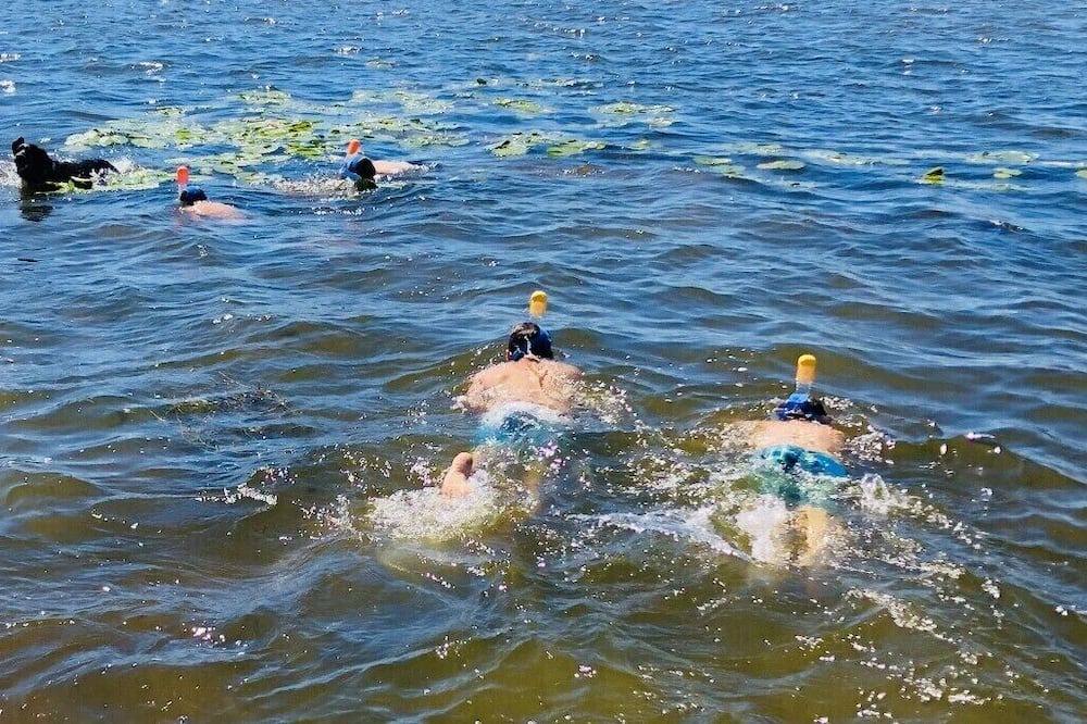 Photo of Others in Ham Lake