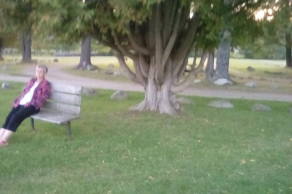Photo of Outdoor in Barton