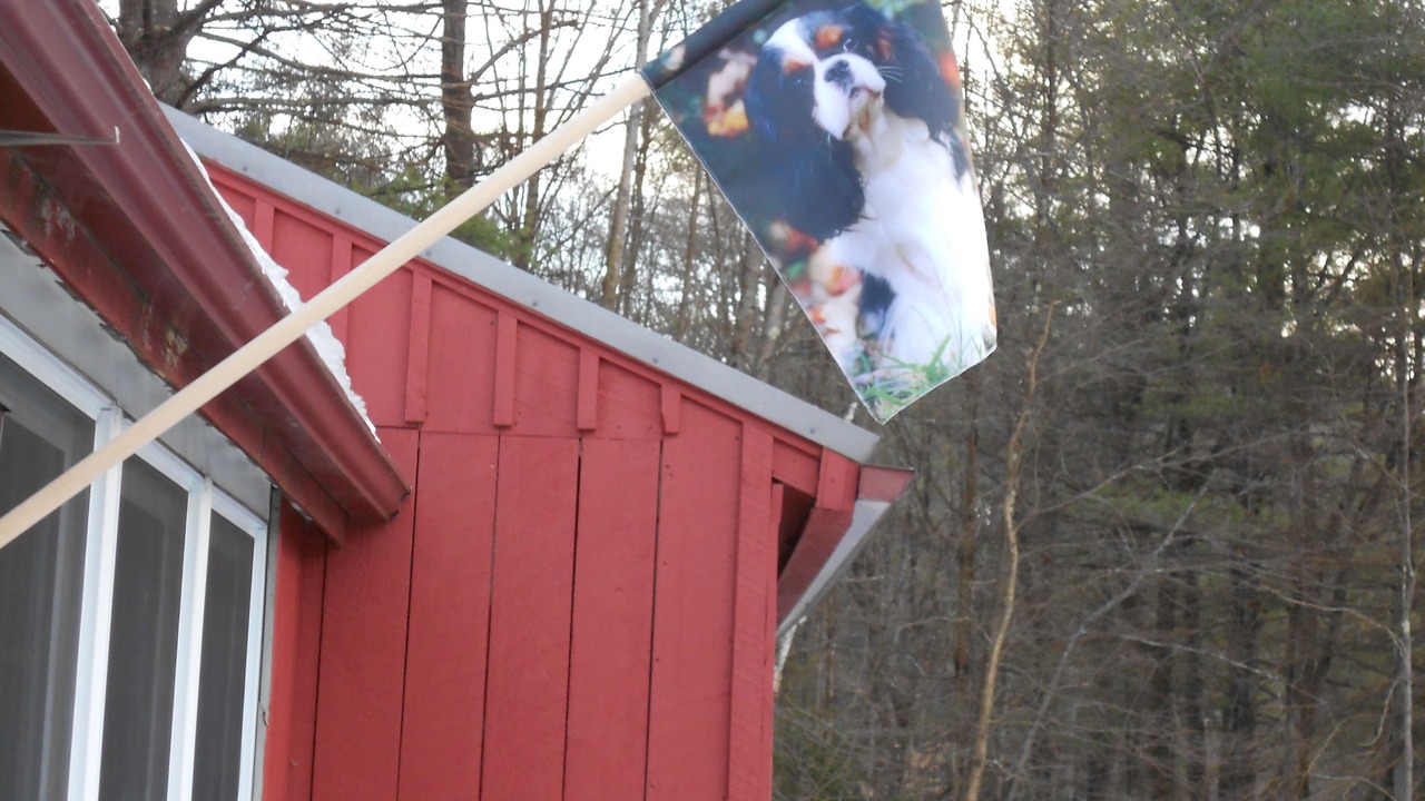 Photo of Outdoor in Shelburne Falls