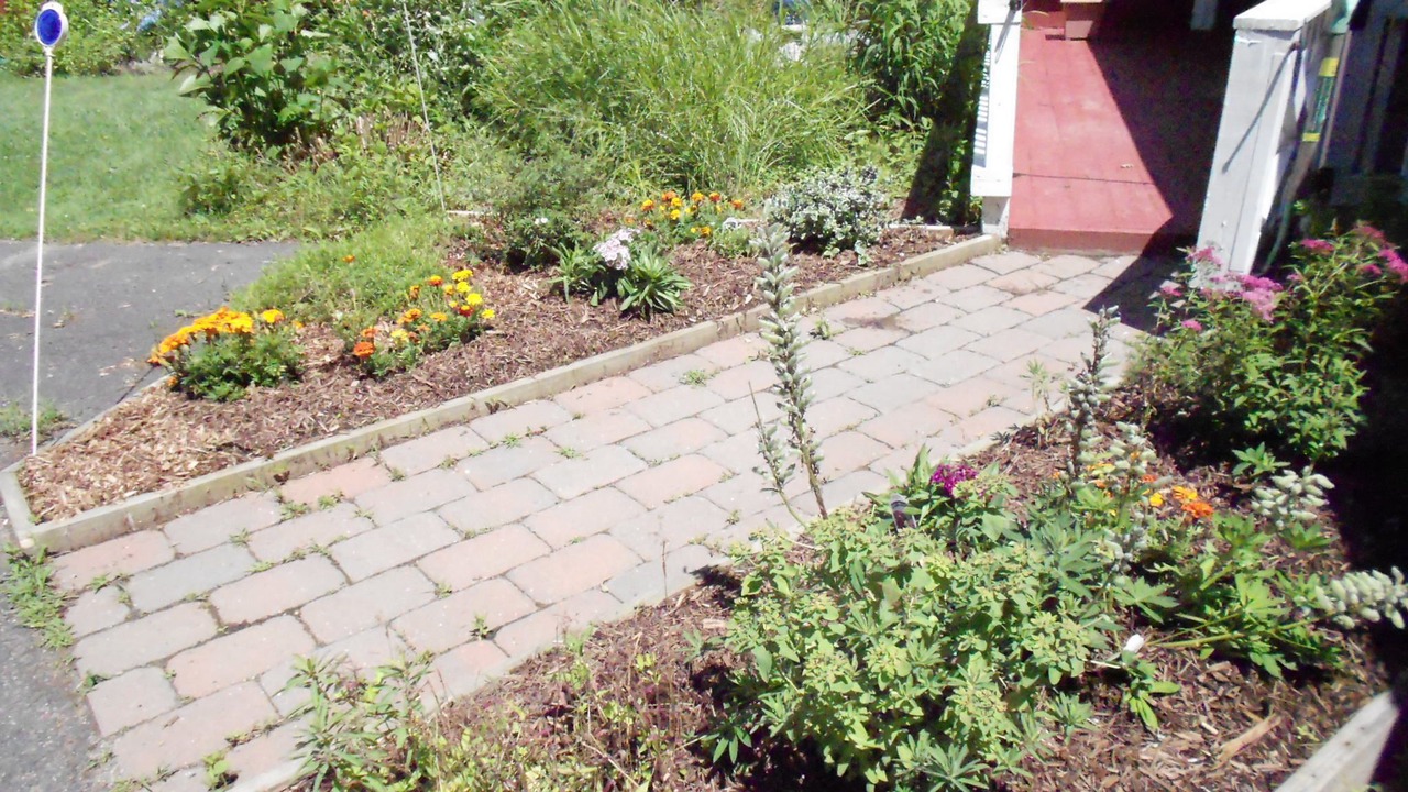 Photo of Outdoor in Shelburne Falls