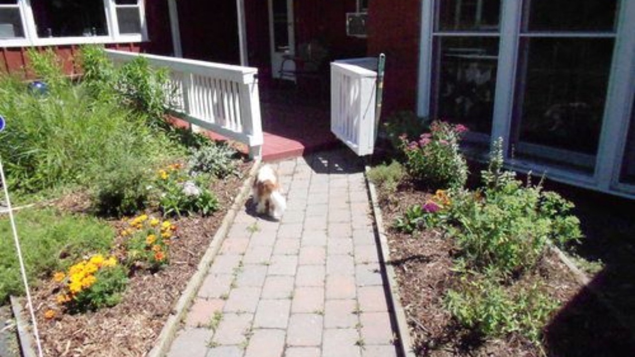 Photo of Outdoor in Shelburne Falls