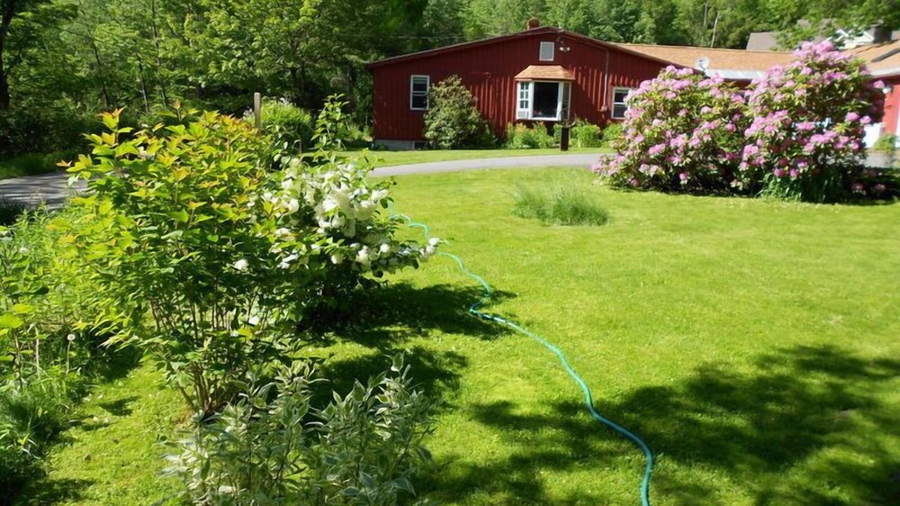 Photo of Outdoor in Shelburne Falls