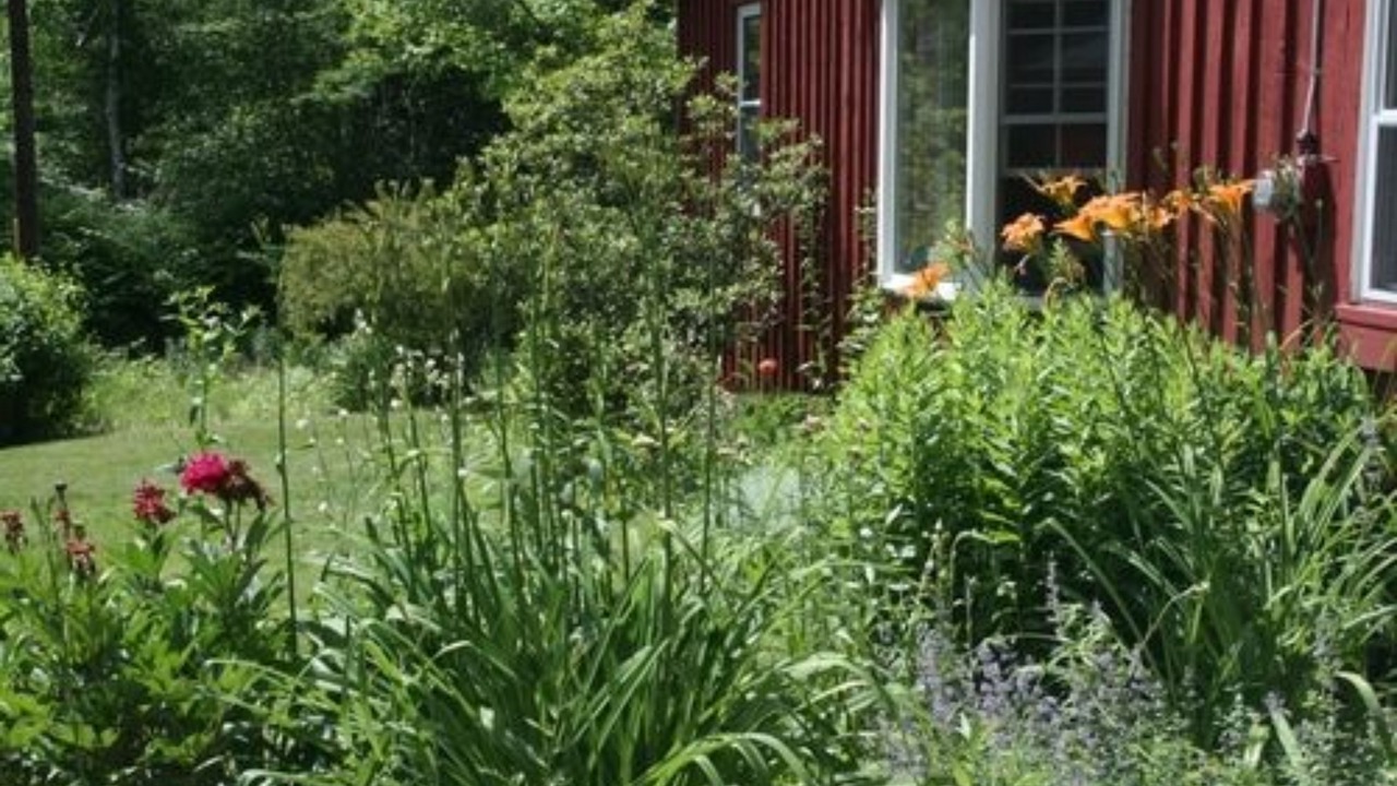 Photo of Outdoor in Shelburne Falls