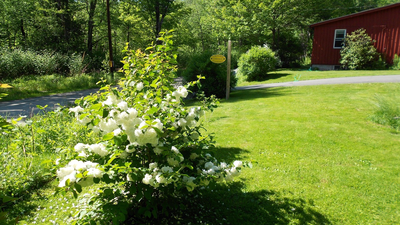 Photo of Outdoor in Shelburne Falls