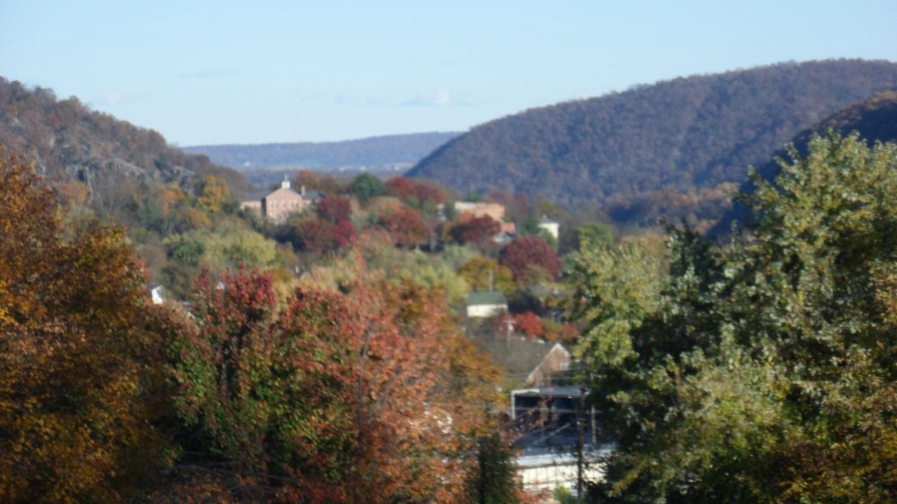 Photo of Others in Bolivar