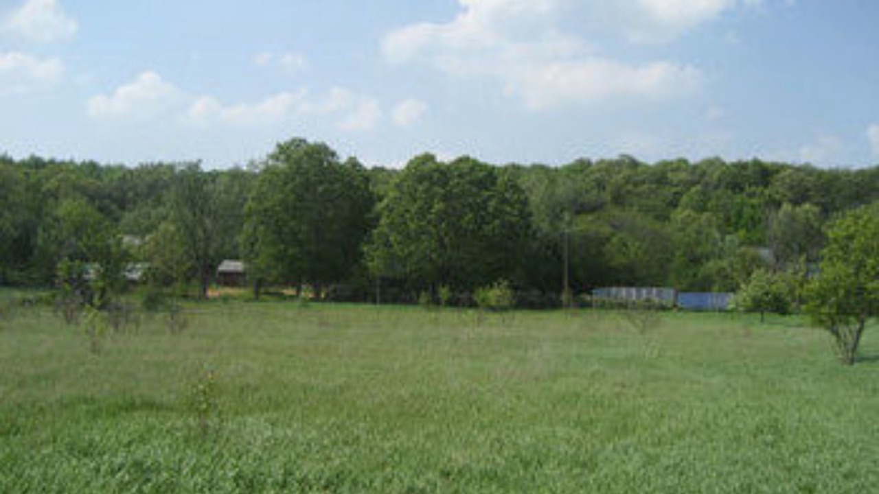 Photo of Outdoor in Amherst