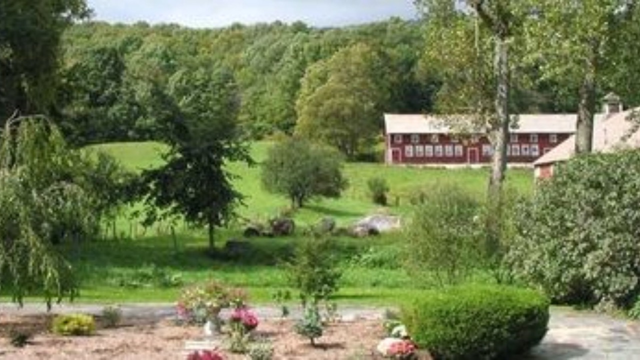 Photo of Others in Cheshire