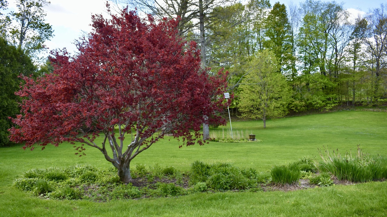Photo of Outdoor in Cheshire