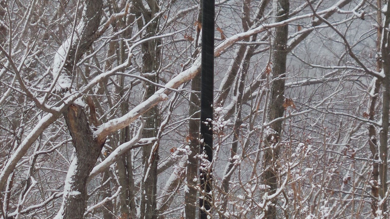 Photo of Others in Pittsfield