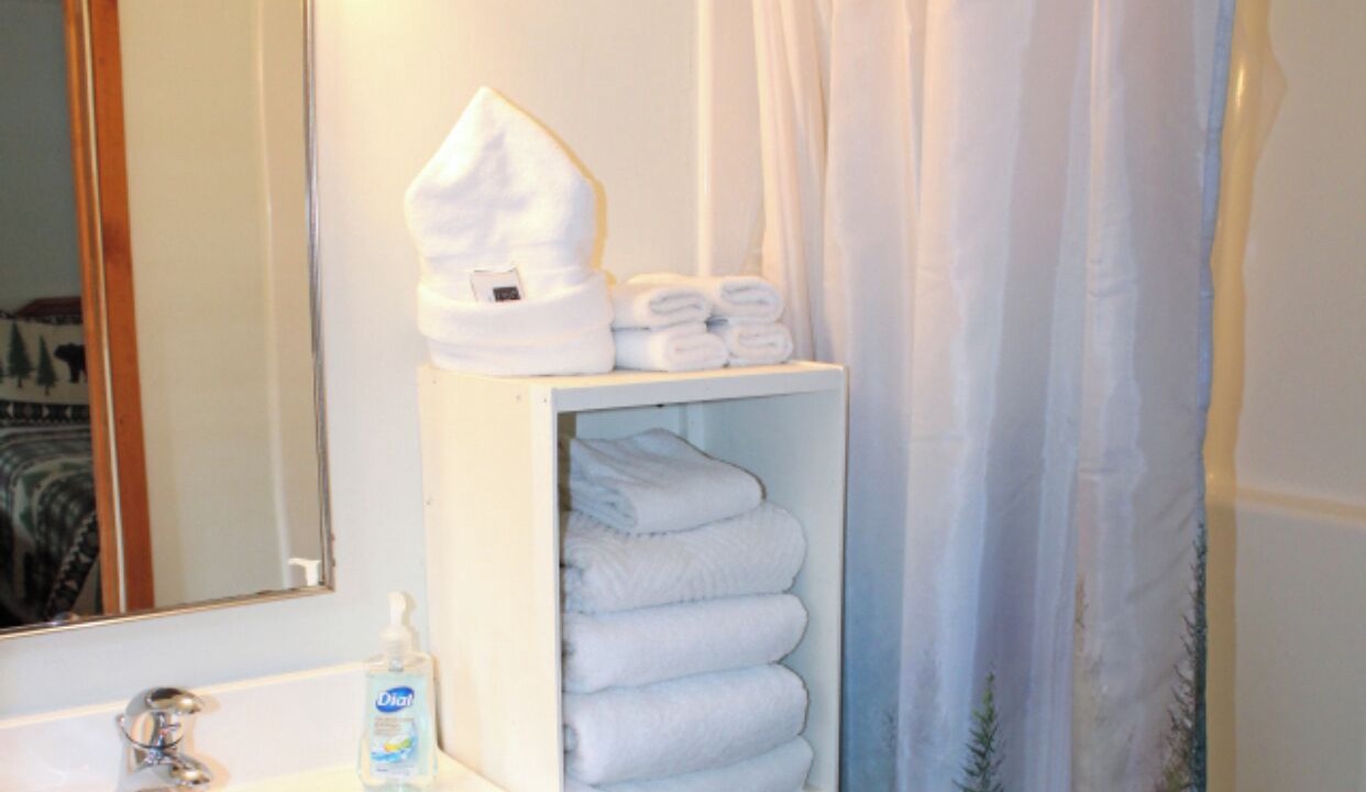 Photo of Bathroom in Lake Luzerne-Hadley