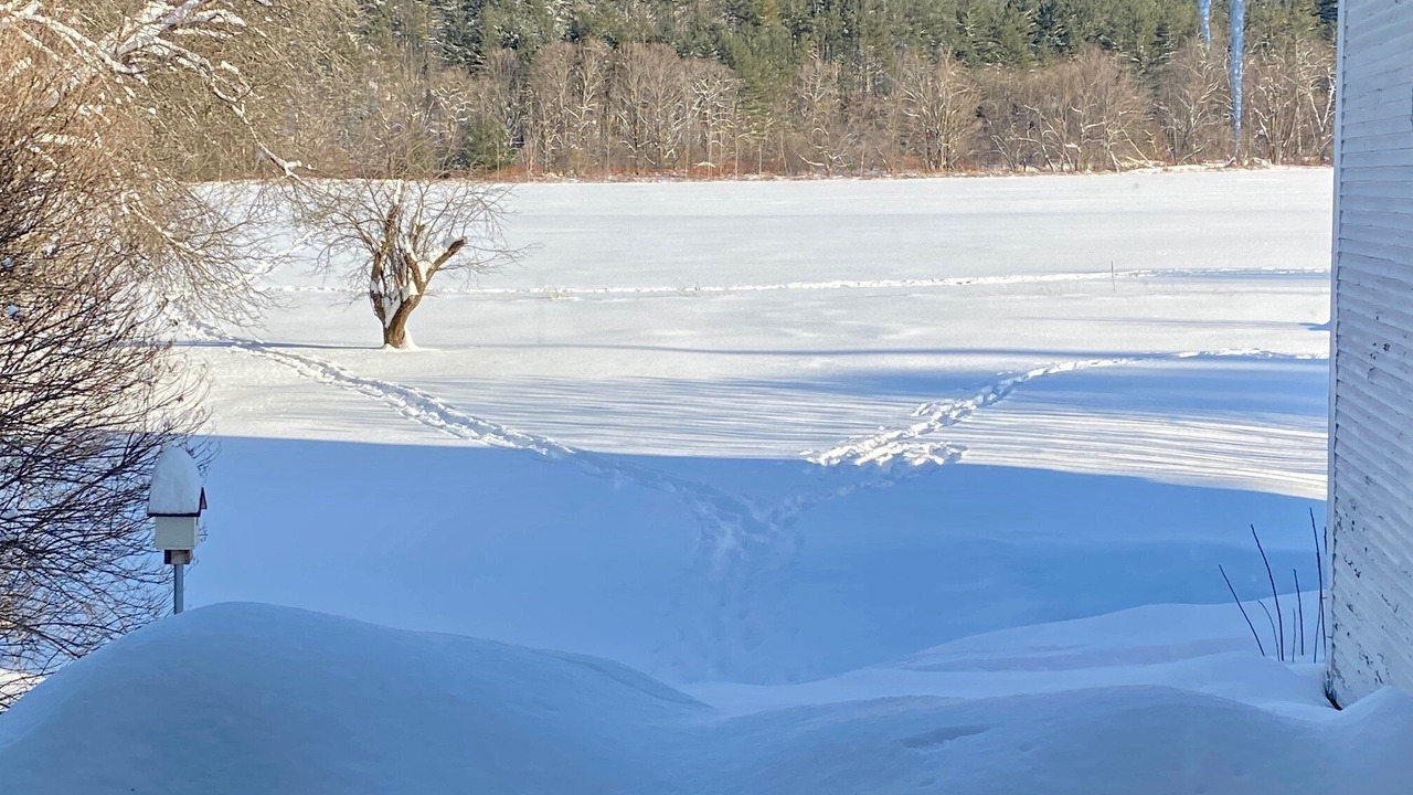 Photo of Others in Waitsfield