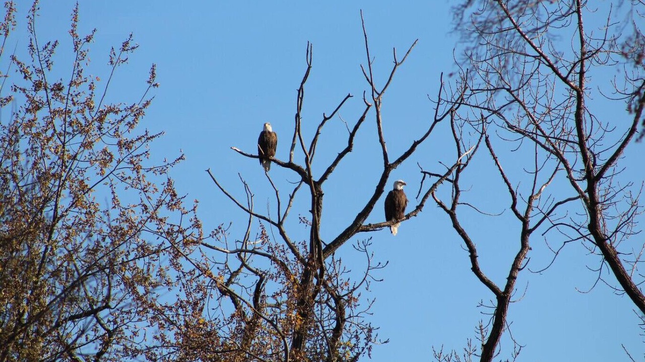 Photo of Others in Suffield