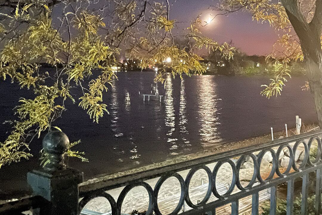 Photo of Outdoor in Spring Park