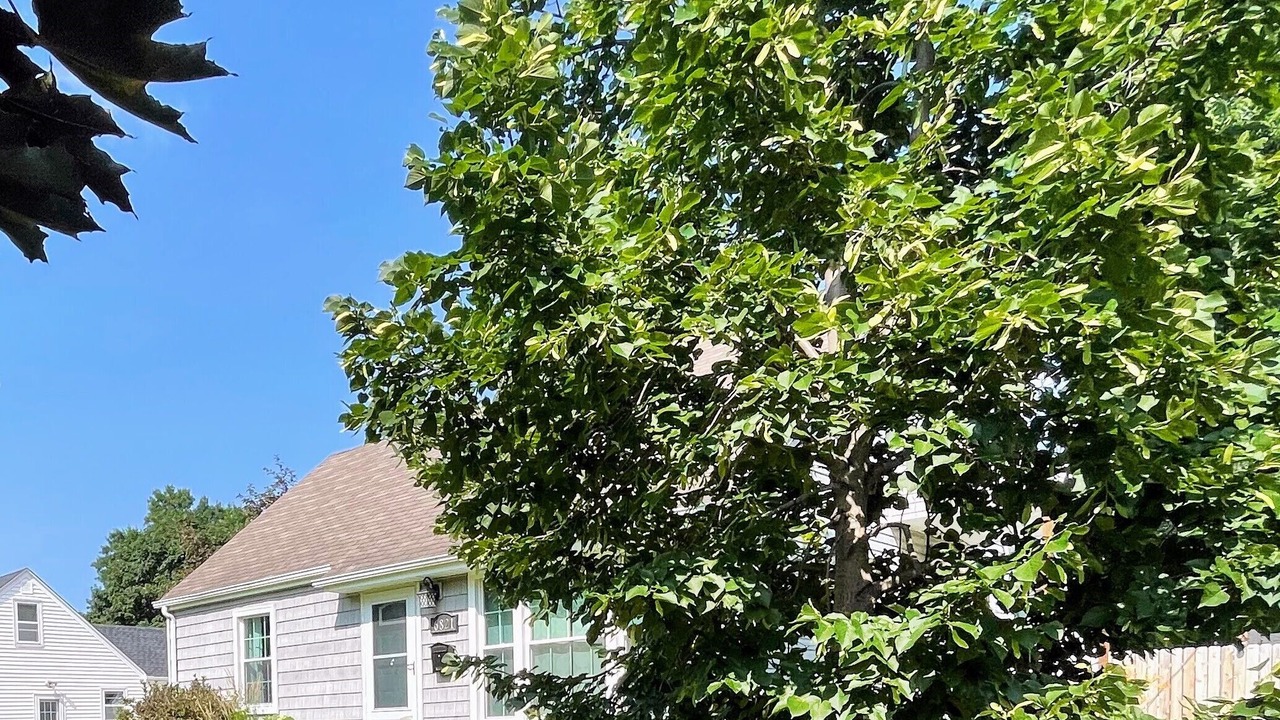 Photo of Outdoor in Richfield