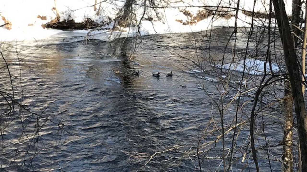 Photo of Others in West Arlington