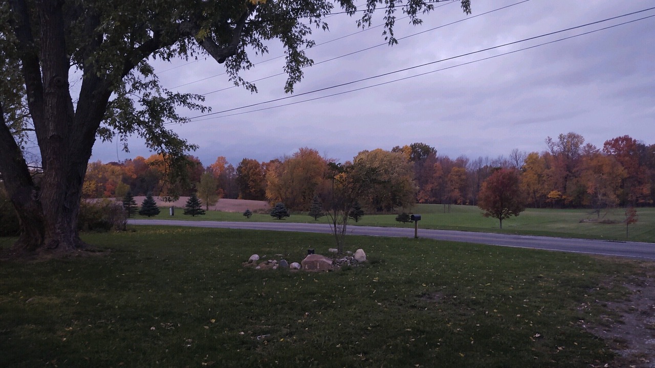 Photo of Others in Buchanan