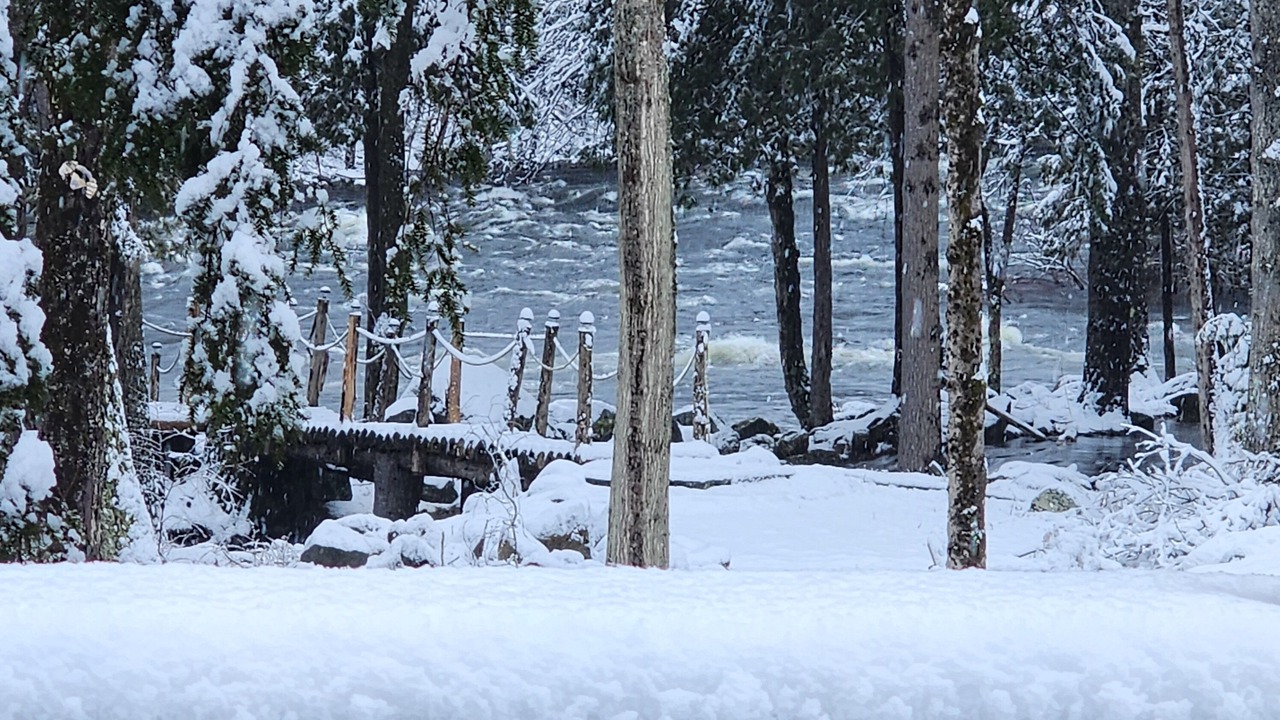 Photo of Others in Brant Lake