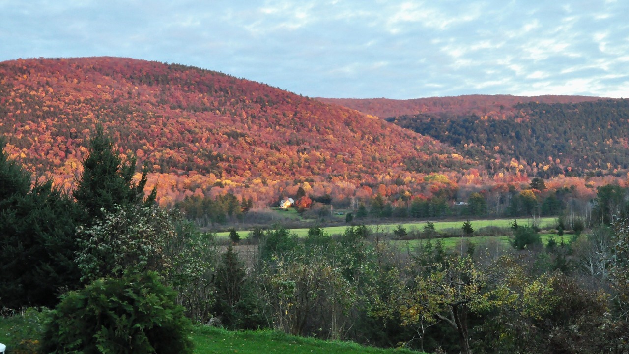 Photo of Others in Middlebury