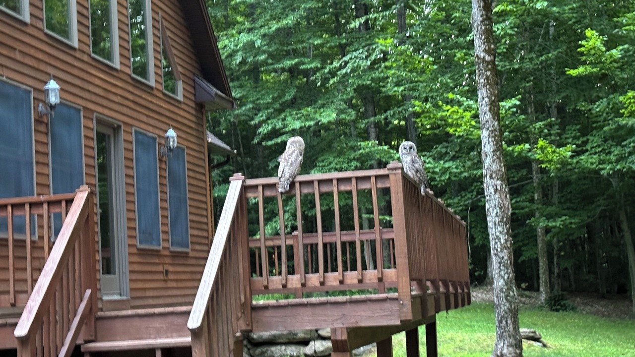 Photo of Outdoor in Jay