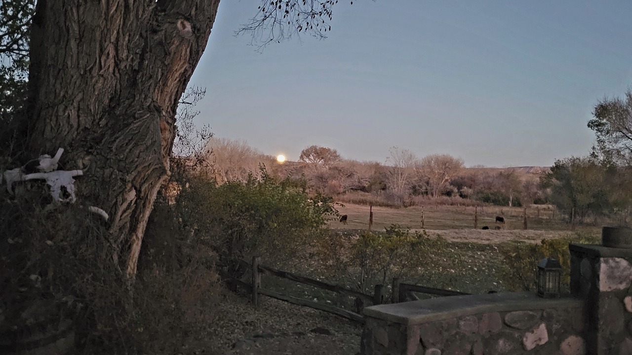 Photo of Outdoor in Medanales