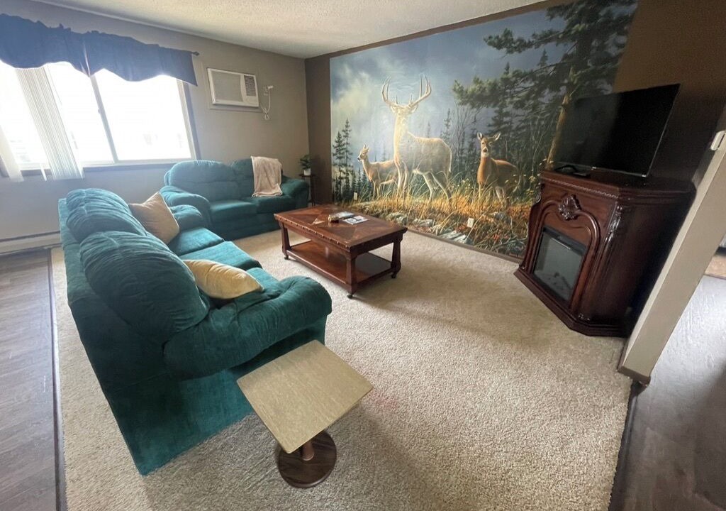 Photo of Livingroom in New Albin