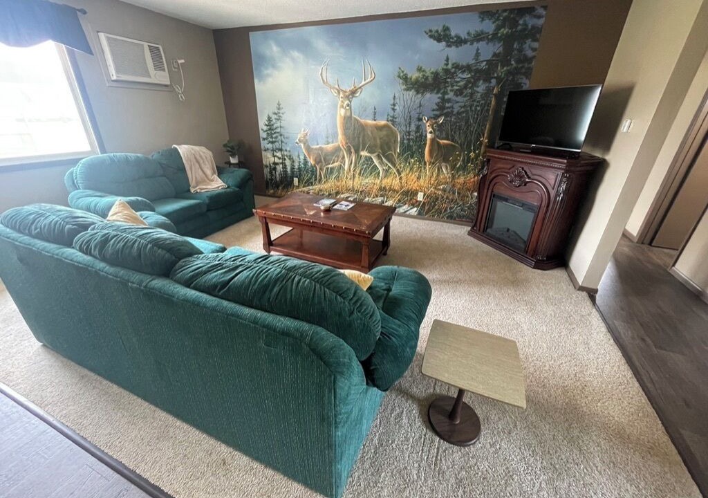 Photo of Livingroom in New Albin