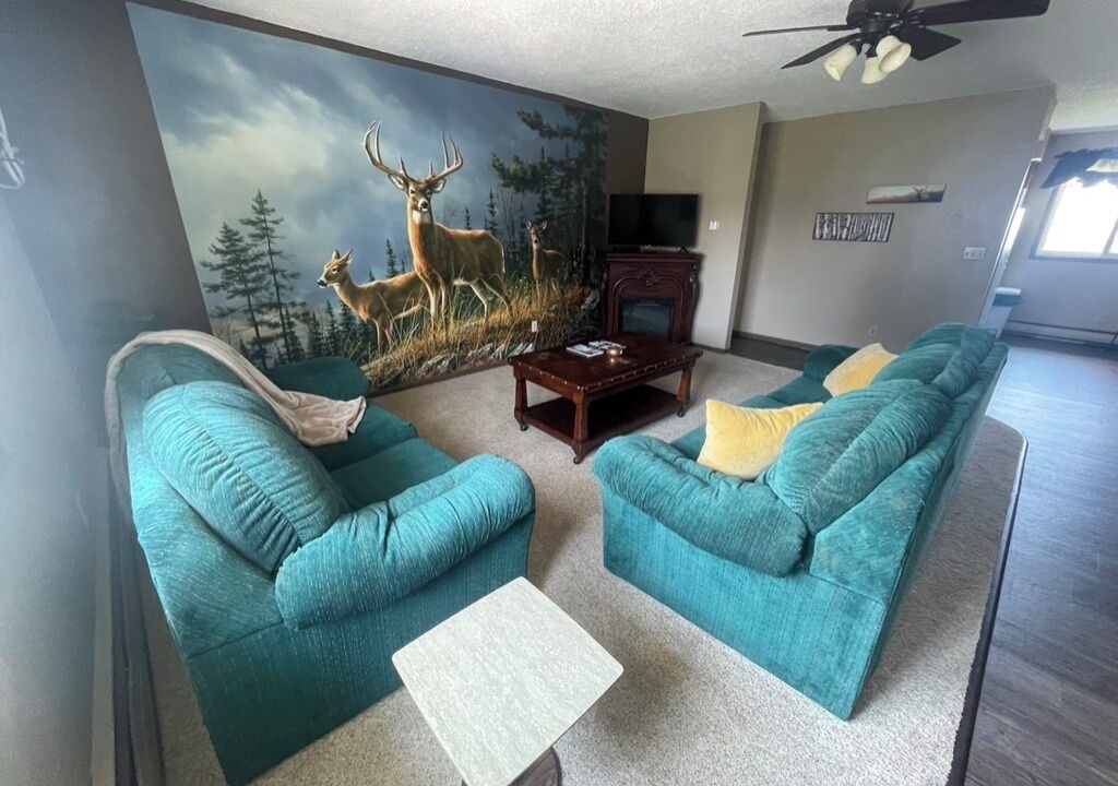 Photo of Livingroom in New Albin