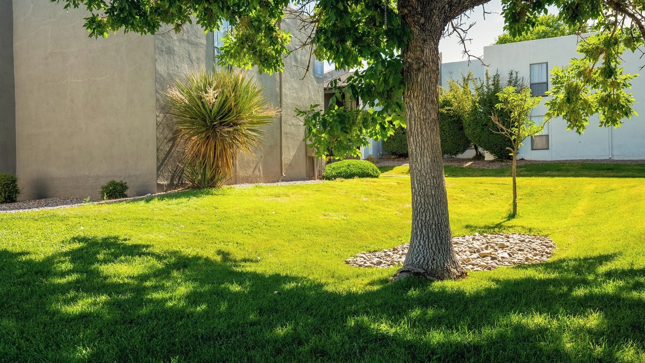 Photo of Outdoor in Northeast Heights