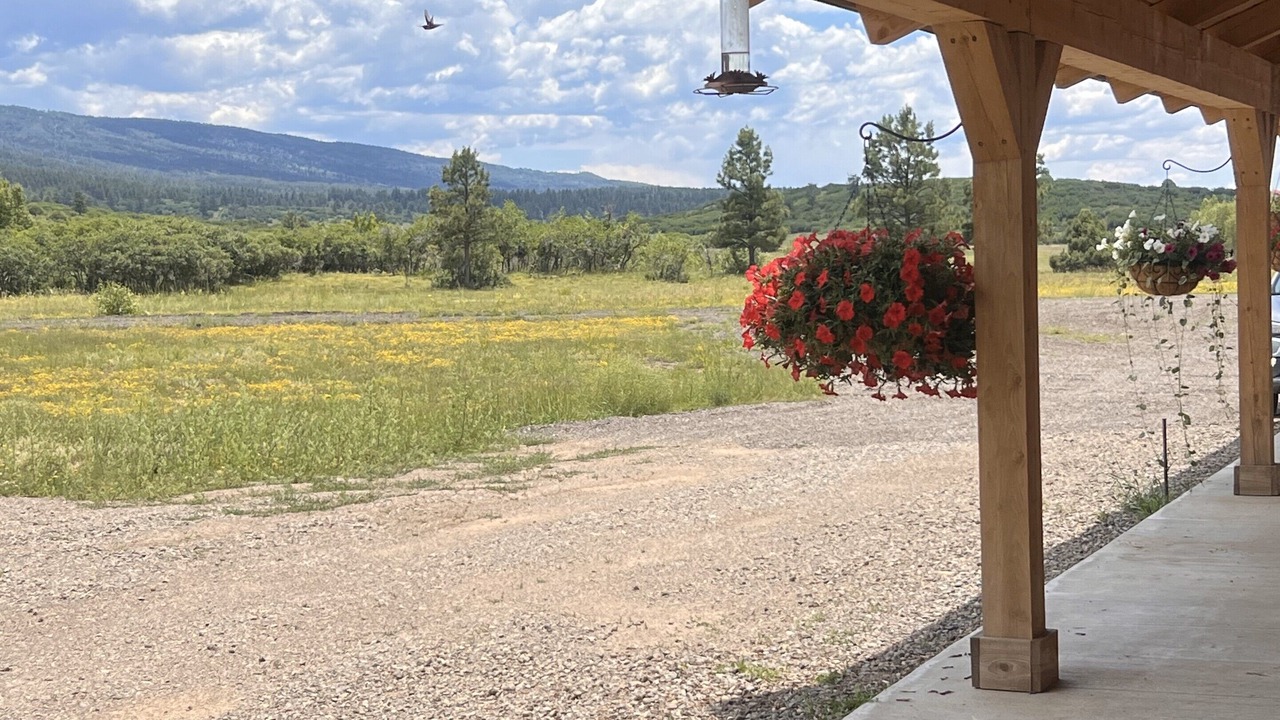 Photo of Outdoor in Chama