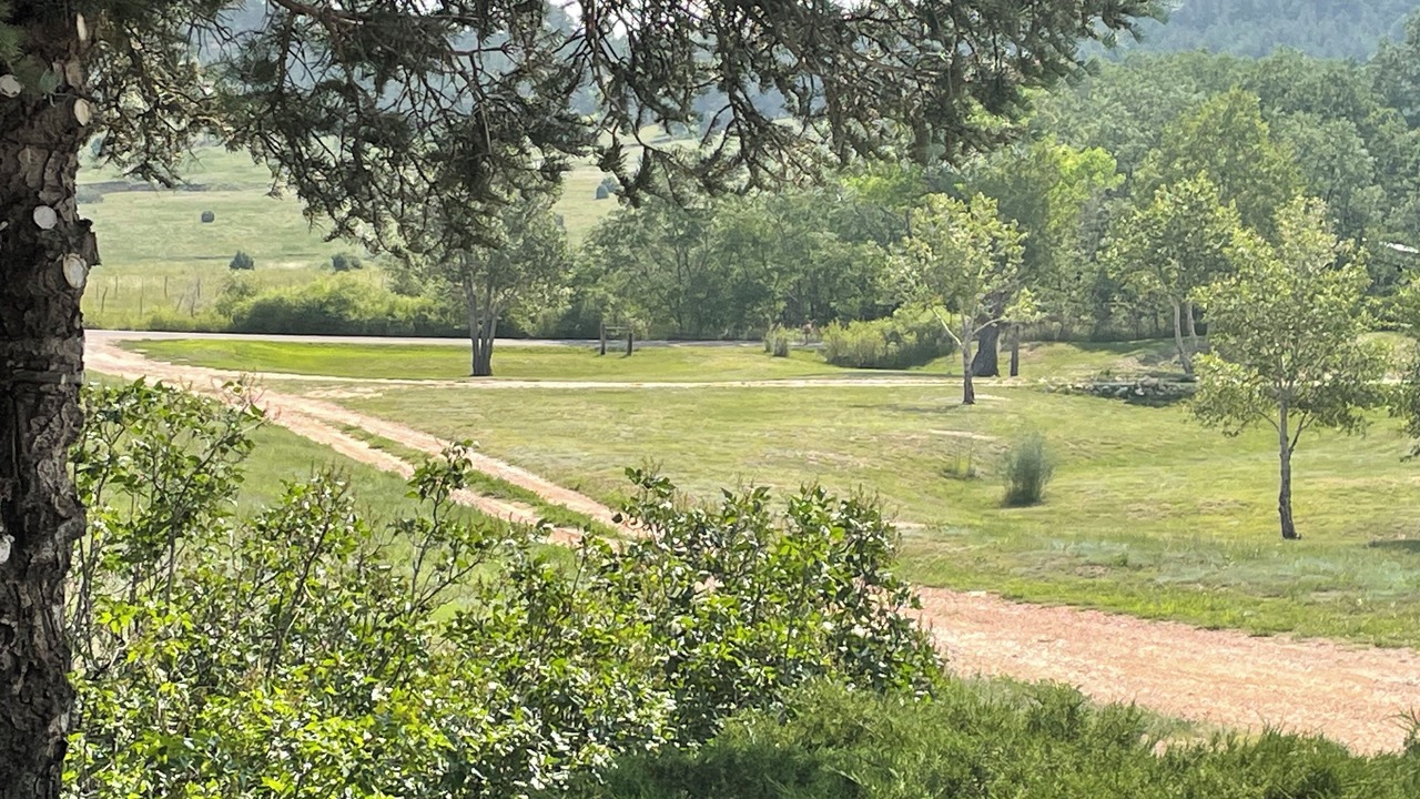 Photo of Others in Holman