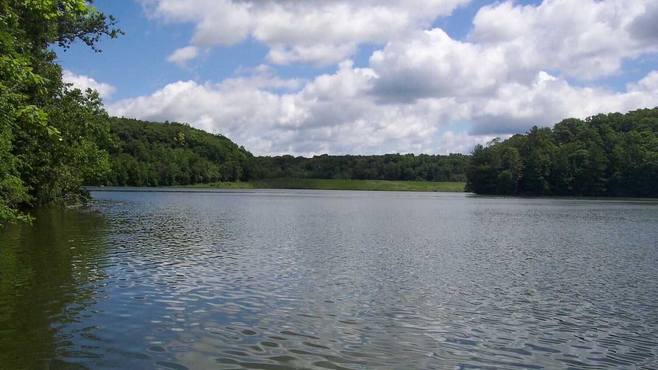 Photo of Others in Glenwood City