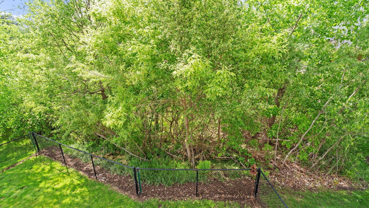 Photo of Outdoor in Mahtomedi