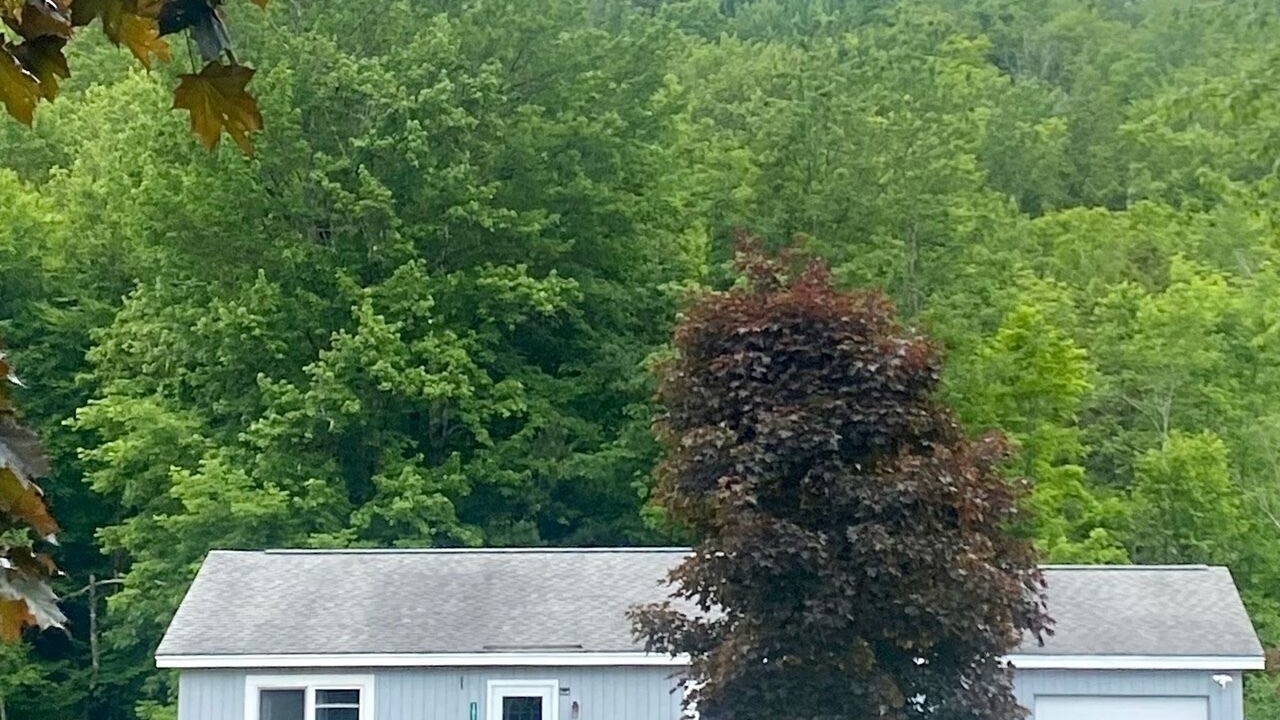 Photo of Outdoor in Pittsford