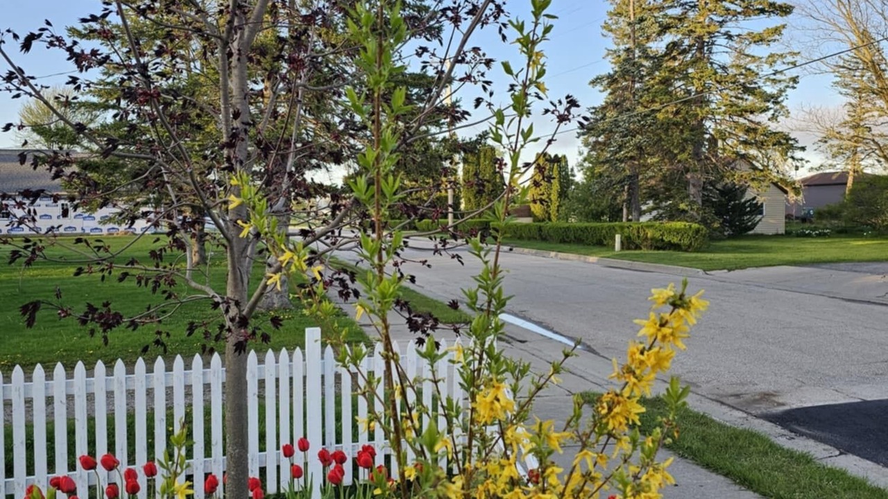 Photo of Outdoor in Au Gres
