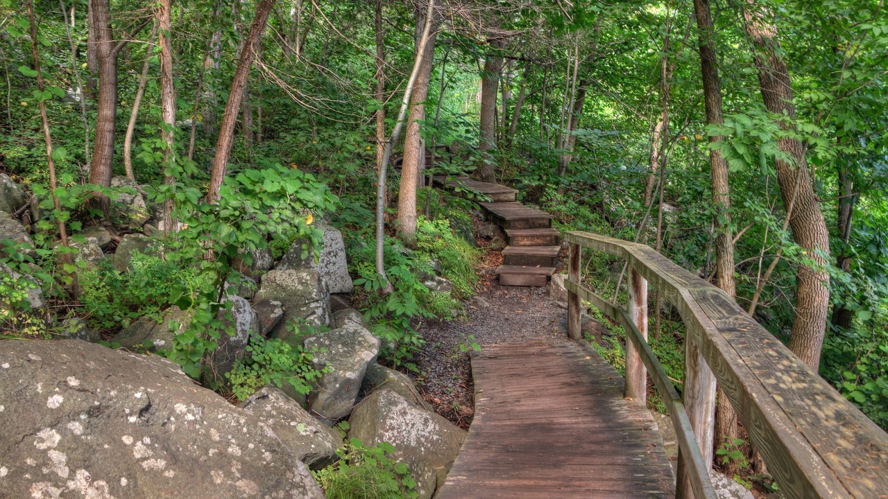 Photo of Outdoor in Taylors Falls