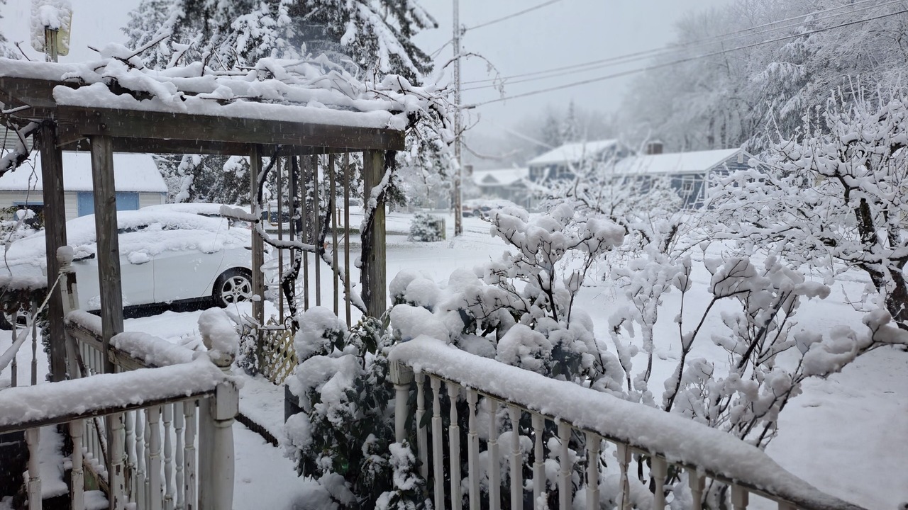 Photo of Outdoor in New North End